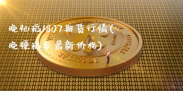 晚籼稻1807期货行情(晚粳稻谷最新价格)_https://gj1.wpmee.com_国际期货_第1张