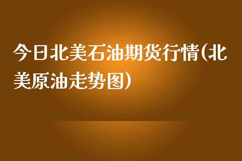 今日北美石油期货行情(北美原油走势图)_https://gj1.wpmee.com_国际期货_第1张