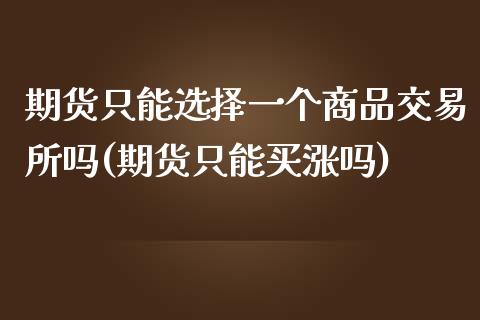 期货只能选择一个商品交易所吗(期货只能买涨吗)_https://gj1.wpmee.com_国际期货_第1张