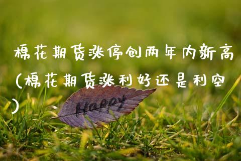棉花期货涨停创两年内新高(棉花期货涨利好还是利空)_https://gj1.wpmee.com_国际期货百科_第1张