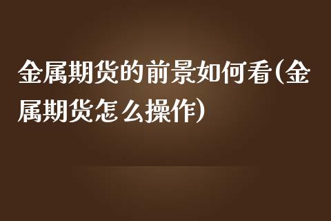 金属期货的前景如何看(金属期货怎么操作)_https://gj1.wpmee.com_国际期货_第1张