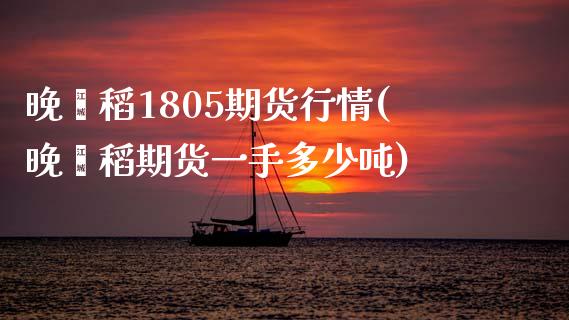 晚籼稻1805期货行情(晚籼稻期货一手多少吨)_https://gj1.wpmee.com_国际期货_第1张