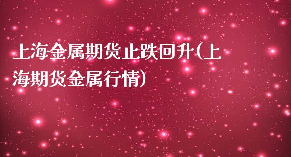 上海金属期货止跌回升(上海期货金属行情)_https://gj1.wpmee.com_国际期货_第1张