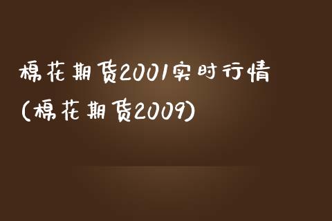 棉花期货2001实时行情(棉花期货2009)_https://gj1.wpmee.com_国际期货_第1张