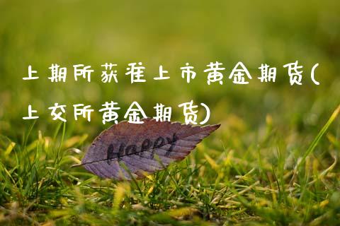 上期所获准上市黄金期货(上交所黄金期货)_https://gj1.wpmee.com_国际期货百科_第1张