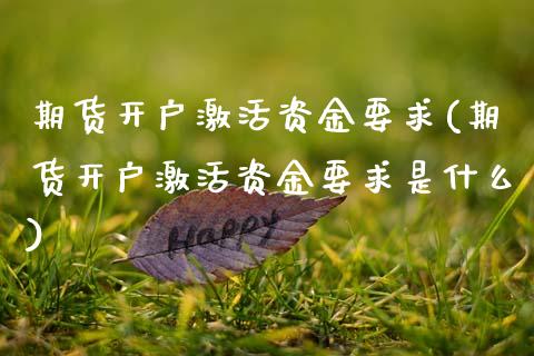 期货开户激活资金要求(期货开户激活资金要求是什么)_https://gj1.wpmee.com_国际期货知识_第1张