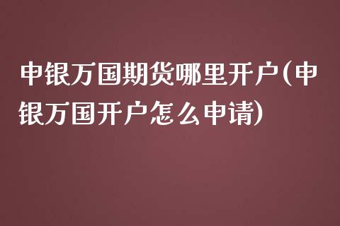 申银万国期货哪里开户(申银万国开户怎么申请)_https://gj1.wpmee.com_国际期货_第1张