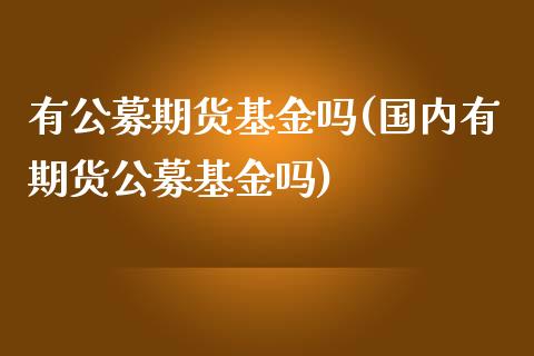 有公募期货基金吗(国内有期货公募基金吗)_https://gj1.wpmee.com_国际期货_第1张