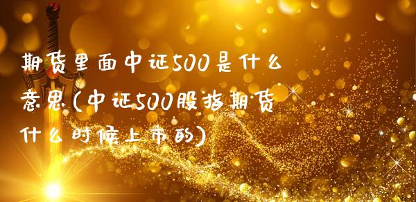 期货里面中证500是什么意思(中证500股指期货什么时候上市的)_https://gj1.wpmee.com_国际期货_第1张