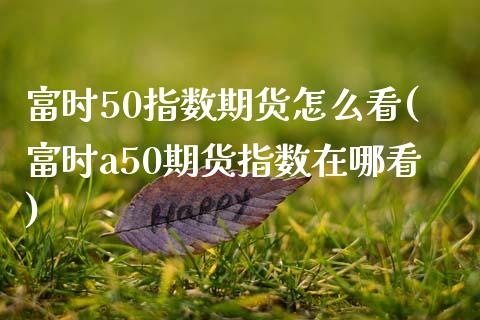 富时50指数期货怎么看(富时a50期货指数在哪看)_https://gj1.wpmee.com_国际期货_第1张