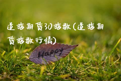 道指期货30指数(道指期货指数行情)_https://gj1.wpmee.com_国际期货_第1张