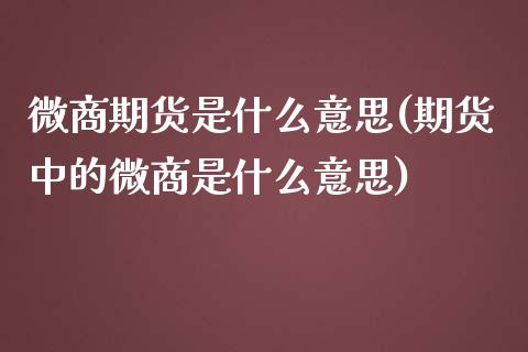 微商期货是什么意思(期货中的微商是什么意思)_https://gj1.wpmee.com_国际期货_第1张