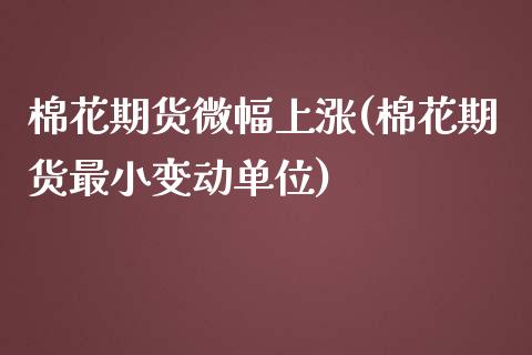 棉花期货微幅上涨(棉花期货最小变动单位)_https://gj1.wpmee.com_国际期货行情_第1张