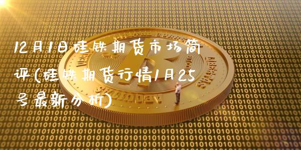 12月1日硅铁期货市场简评(硅铁期货行情1月25号最新分析)_https://gj1.wpmee.com_国际期货_第1张