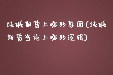 纯碱期货上涨的原因(纯碱期货当前上涨的逻辑)_https://gj1.wpmee.com_国际期货_第1张