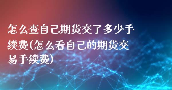 怎么查自己期货交了多少手续费(怎么看自己的期货交易手续费)_https://gj1.wpmee.com_国际期货_第1张