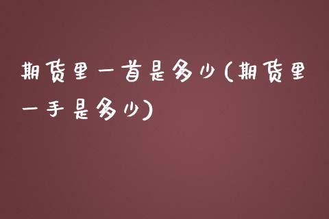 期货里一首是多少(期货里一手是多少)_https://gj1.wpmee.com_国际期货_第1张