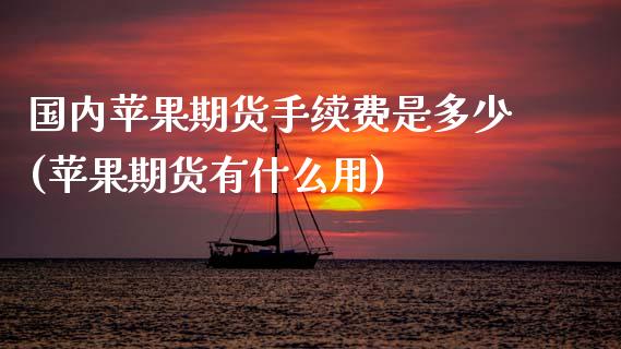 国内苹果期货手续费是多少(苹果期货有什么用)_https://gj1.wpmee.com_国际期货_第1张