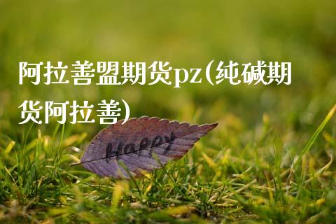 阿拉善盟期货pz(纯碱期货阿拉善)_https://gj1.wpmee.com_国际期货_第1张