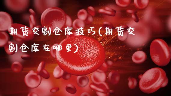 期货交割仓库技巧(期货交割仓库在哪里)_https://gj1.wpmee.com_国际期货知识_第1张