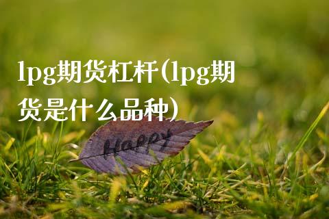 lpg期货杠杆(lpg期货是什么品种)_https://gj1.wpmee.com_国际期货百科_第1张