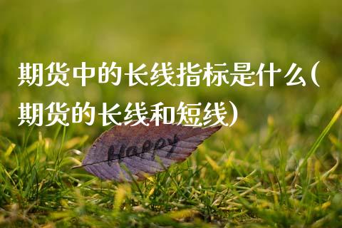 期货中的长线指标是什么(期货的长线和短线)_https://gj1.wpmee.com_国际期货知识_第1张