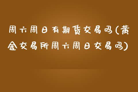 周六周日有期货交易吗(黄金交易所周六周日交易吗)_https://gj1.wpmee.com_国际期货_第1张