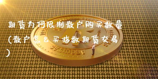 期货为何限制散户购买数量(散户怎么买指数期货交易)_https://gj1.wpmee.com_国际期货_第1张