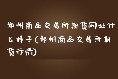 郑州商品交易所期货网址什么样子(郑州商品交易所期货行情)_https://gj1.wpmee.com_国际期货_第1张