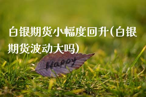 白银期货小幅度回升(白银期货波动大吗)_https://gj1.wpmee.com_国际期货_第1张