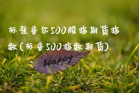 标准普尔500股指期货指数(标普500指数期货)_https://gj1.wpmee.com_国际期货_第1张