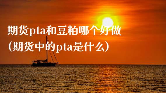 期货pta和豆粕哪个好做(期货中的pta是什么)_https://gj1.wpmee.com_国际期货_第1张