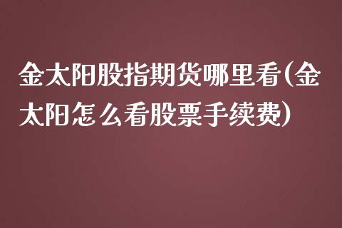 金太阳股指期货哪里看(金太阳怎么看股票手续费)_https://gj1.wpmee.com_国际期货_第1张