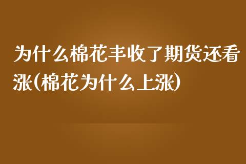 为什么棉花丰收了期货还看涨(棉花为什么上涨)_https://gj1.wpmee.com_国际期货_第1张