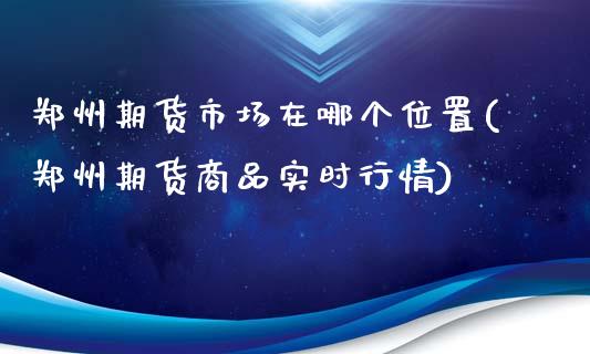 郑州期货市场在哪个位置(郑州期货商品实时行情)_https://gj1.wpmee.com_国际期货_第1张