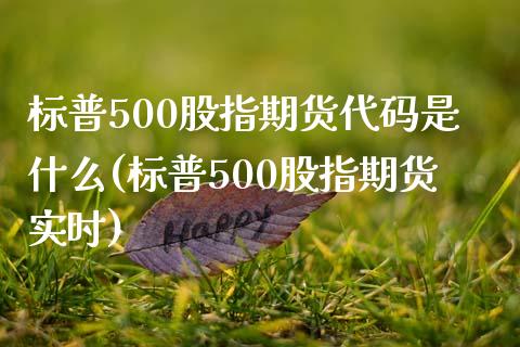 标普500股指期货代码是什么(标普500股指期货实时)_https://gj1.wpmee.com_国际期货_第1张